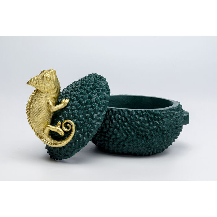 [51562] Caja deco Jackfruit Chameleon 20cm - 4