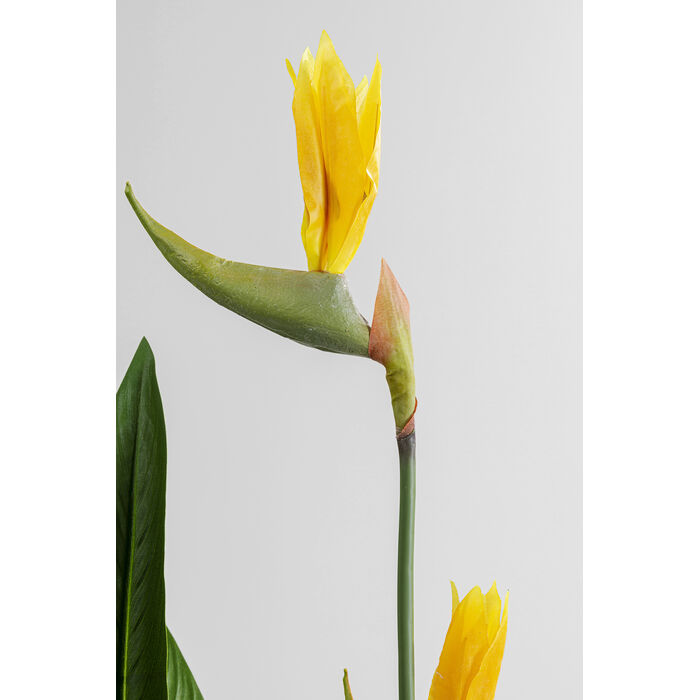 [51684] Tumbuhan Deco Bunga Syurga 190cm - 4