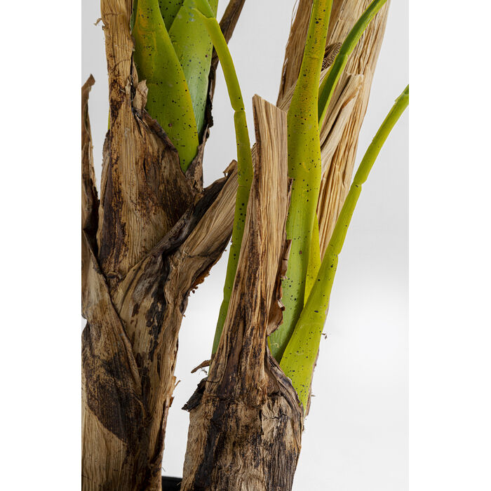 [51789] Planta deco Palm Tree 190cm - 3