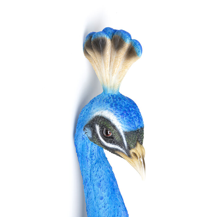 [51793] Wall Object Peacock - 4