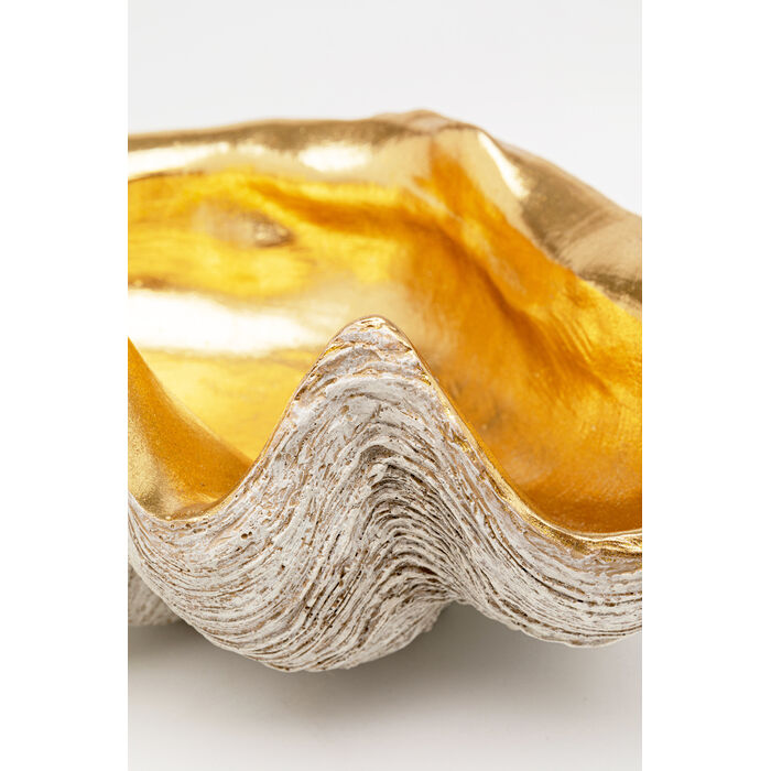 [54616] Coupe décorative Noble Shell 41x27cm - 3