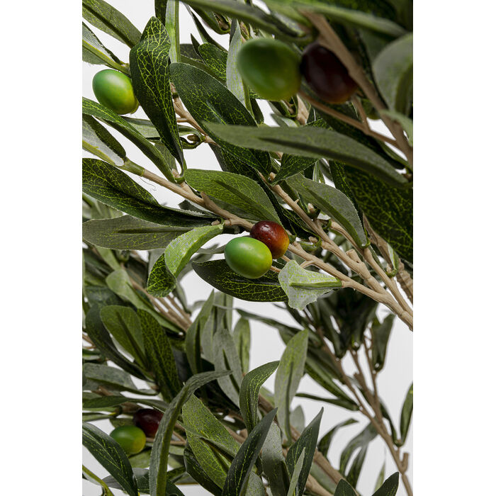 [54933] Planta deco Olive Tree 120cm - 3