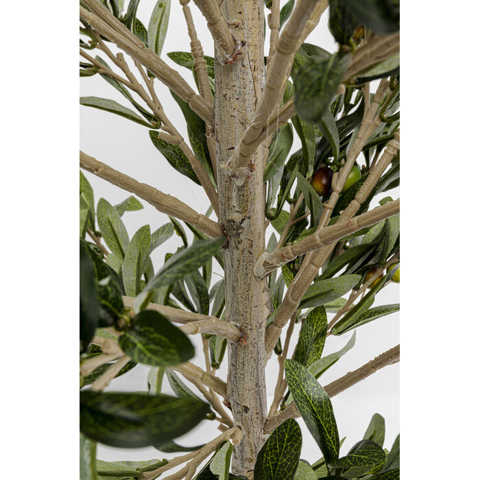 [54933] Planta deco Olive Tree 120cm - 4