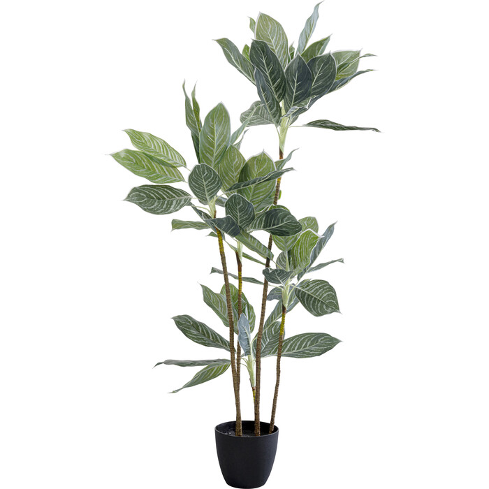 [55914] Dekor Bitki Calathea 140sm