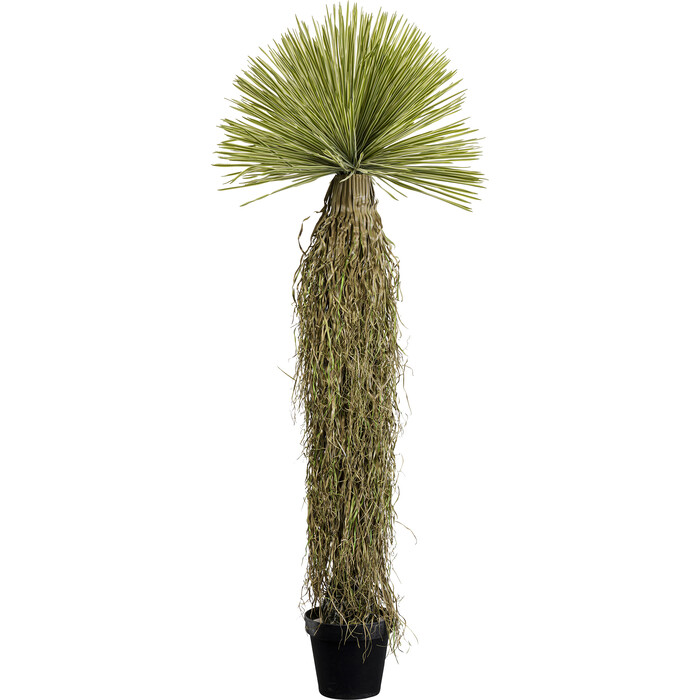 [55919] Planta Deco Yucca 170cm