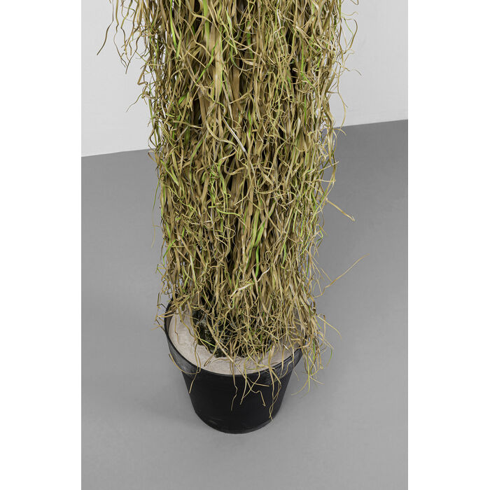 [55919] Planta Deco Yucca 170cm - 4