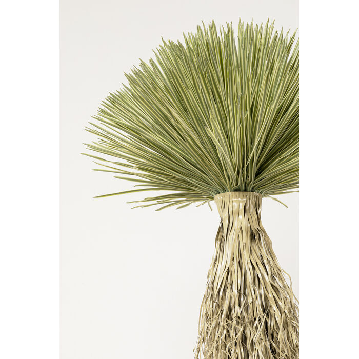 [55920] Planta Deco Yucca Rostrata 240cm - 3