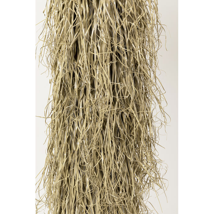 [55920] Planta Deco Yucca Rostrata 240cm - 4