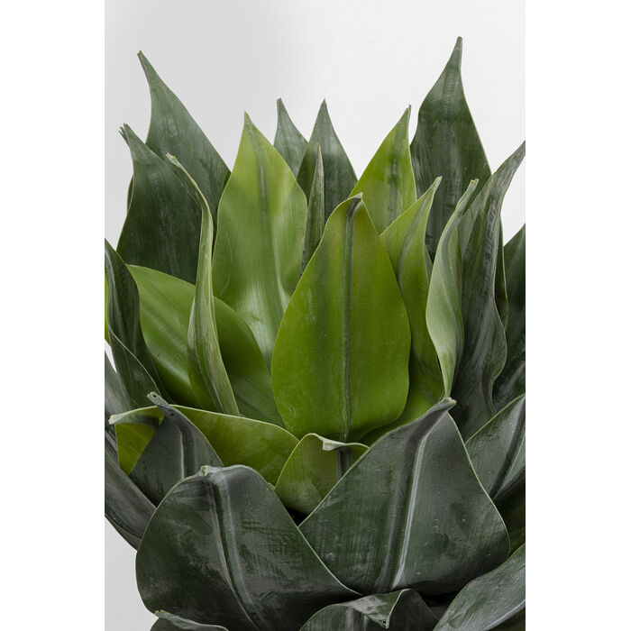 [55922] Planta Deco Agave 120cm - 3
