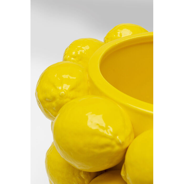 [56053] Pasu Lemon Juice 19cm - 3