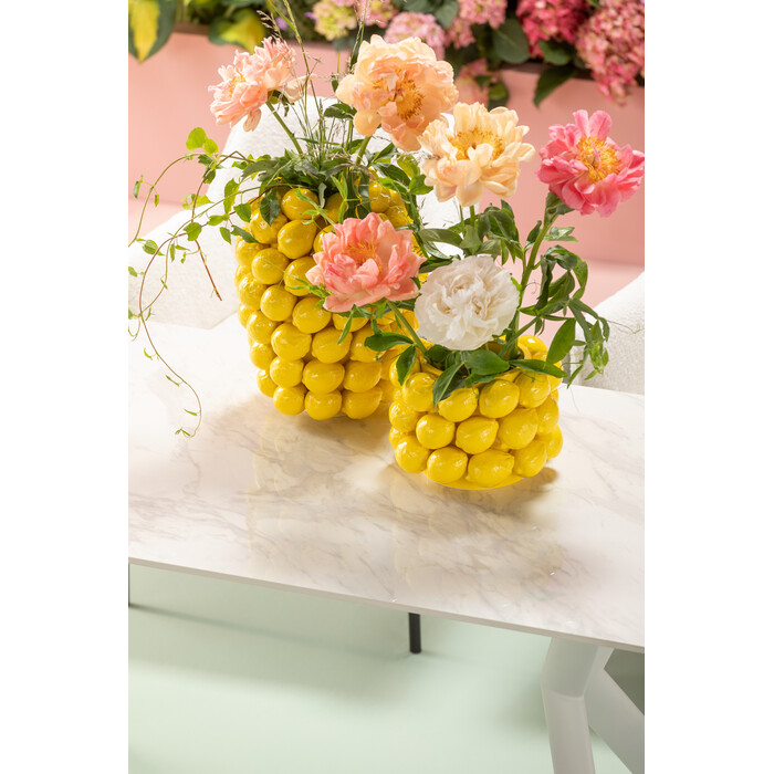 [56053] Pasu Lemon Juice 19cm - 1