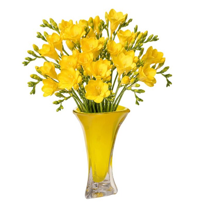 [56841] Vase Salut Yellow 43cm - 2