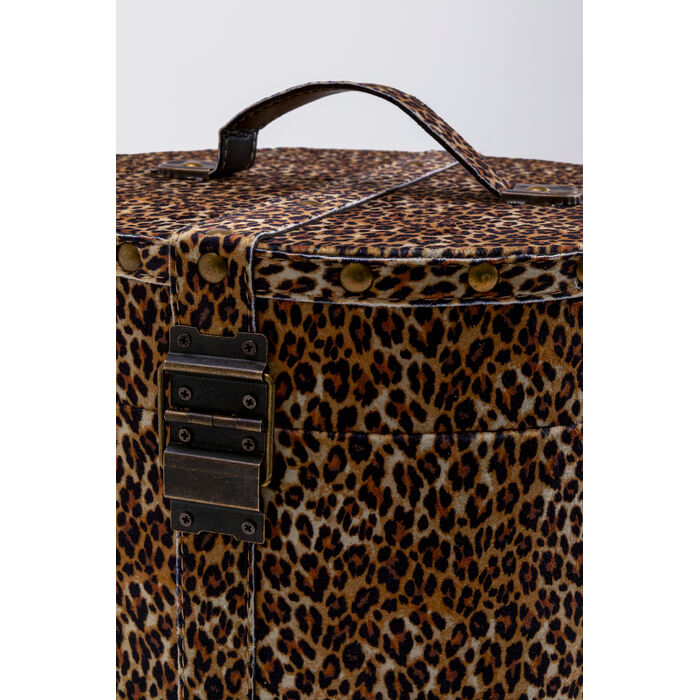 [58249] Box Wild Animal Leo (2/Set) - 4
