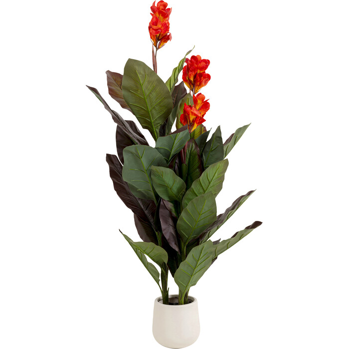[58433] Planta deco Canna Lily 165cm