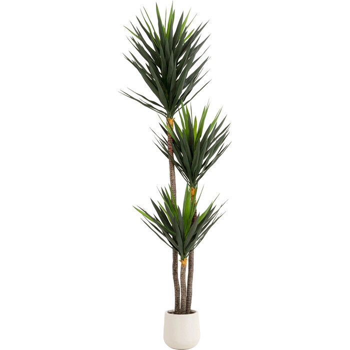 [58435] Planta deco Yucca 250cm