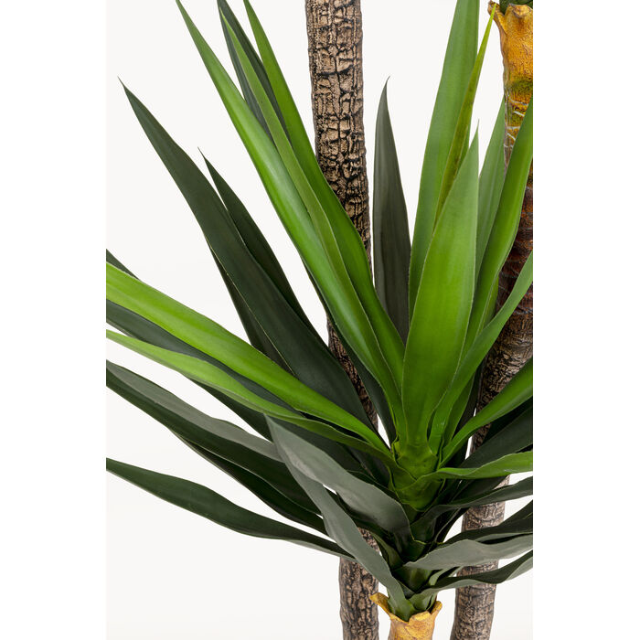 [58435] Planta deco Yucca 250cm - 3