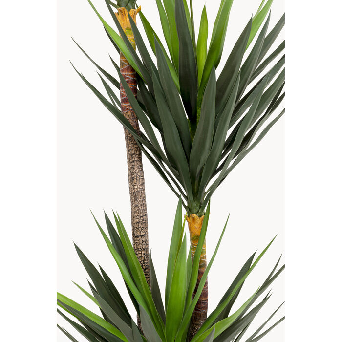[58435] Planta deco Yucca 250cm - 4