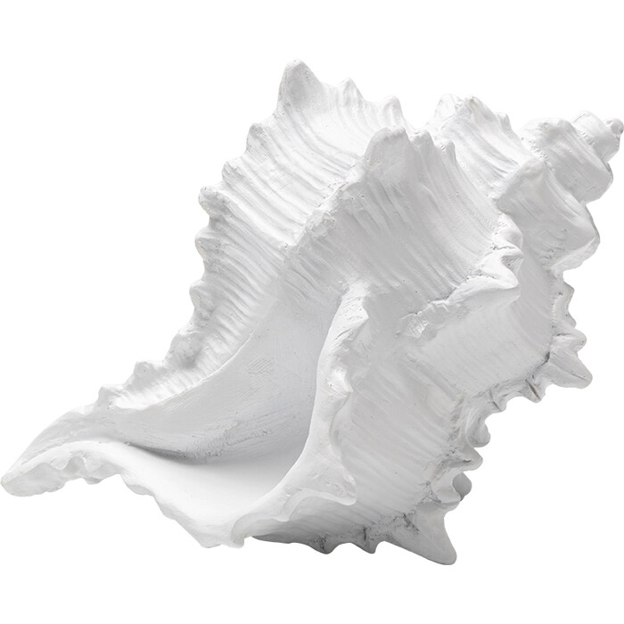 [58732] Objekt Dekorativ Conch 19cm