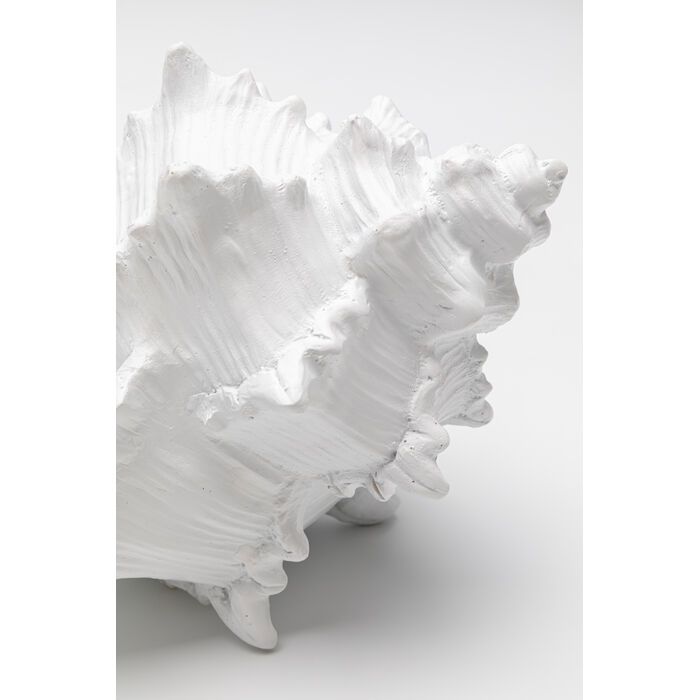 [58732] Objekt Dekorativ Conch 19cm - 3