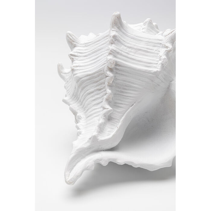 [58732] Objekt Dekorativ Conch 19cm - 4