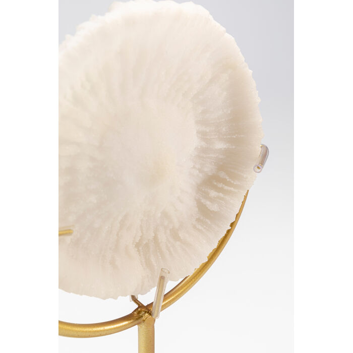 [58739] Deco Object Coral 29cm - 3