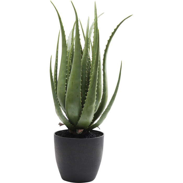 [60724] Planta deco Aloe 69cm