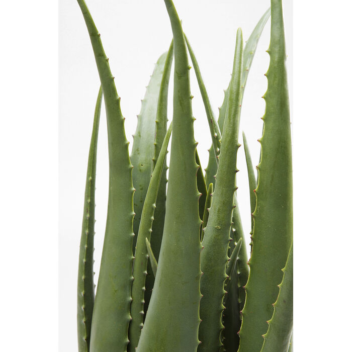 [60724] Planta deco Aloe 69cm - 3