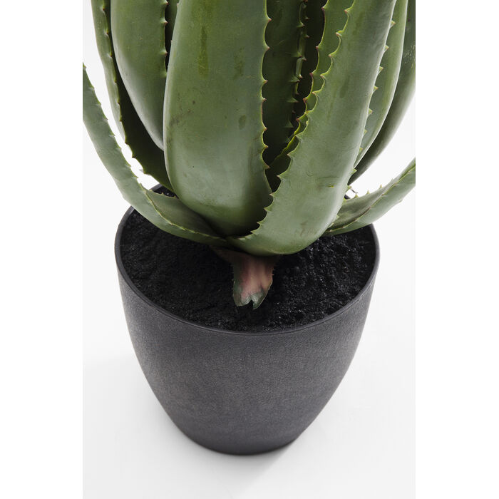[60724] Planta deco Aloe 69cm - 4