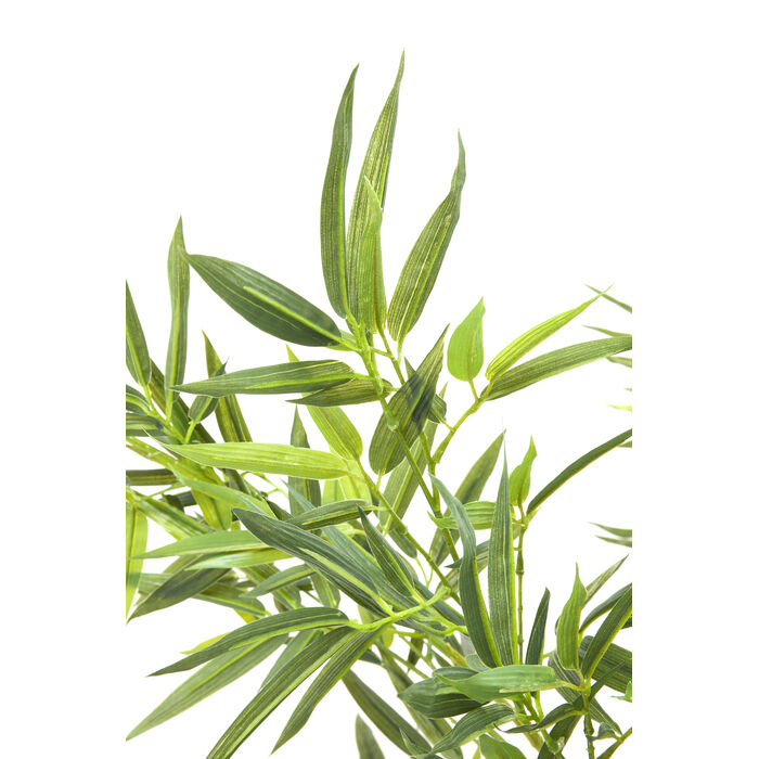 [64002] Planta deco Bamboo Tree 200cm - 3
