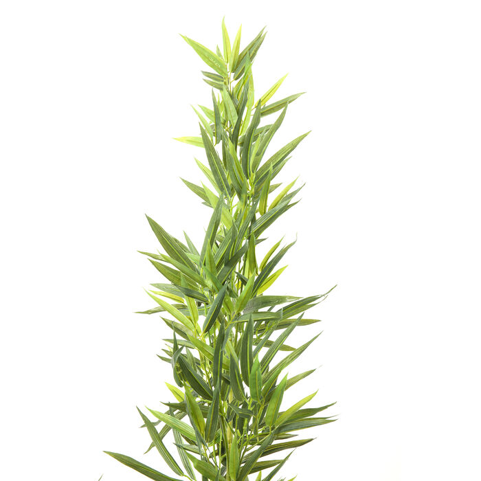 [64002] Planta deco Bamboo Tree 200cm - 4