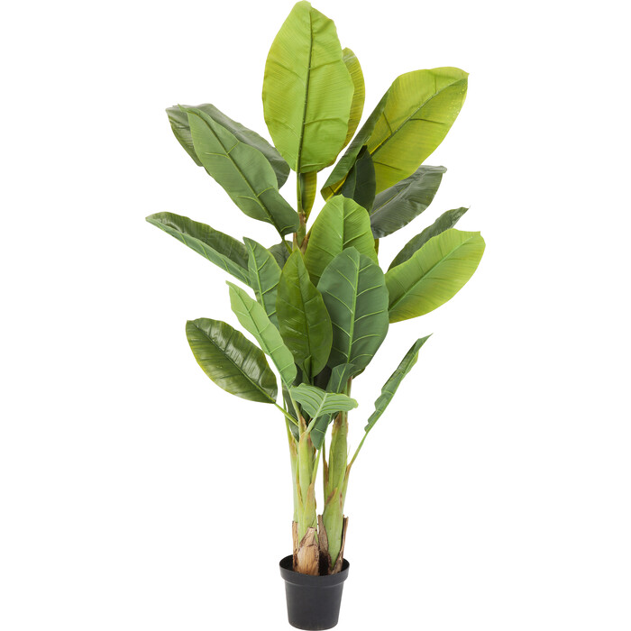 [64003] Planta deco Banana Tree 180cm