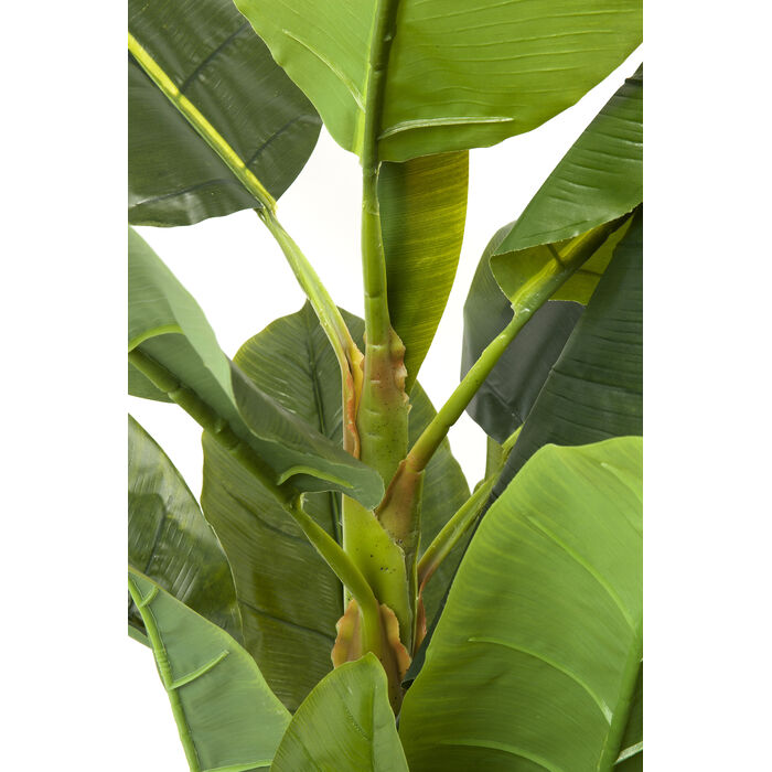 [64003] Planta deco Banana Tree 180cm - 3