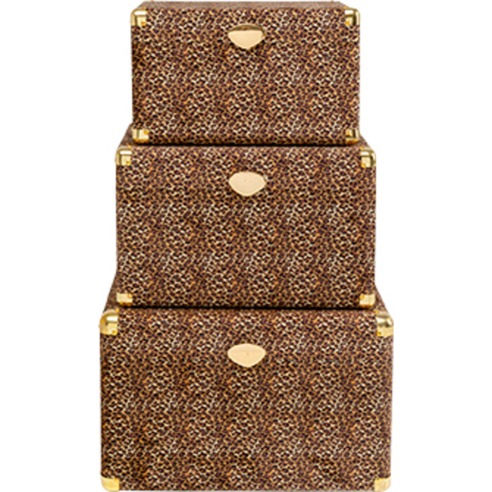 [71236] Coffre Wild Animal Leo (3/Set)