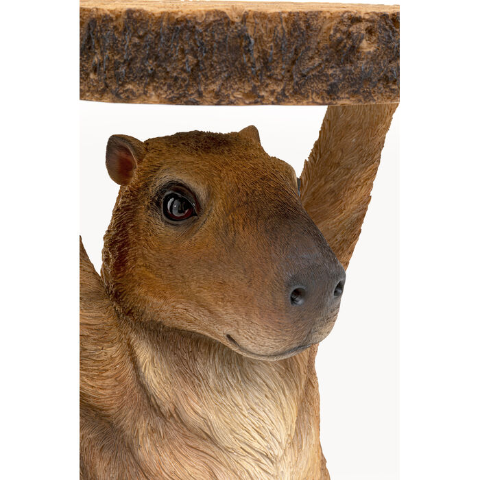 [71632] Table d'appoint Animal Capybara Ø34cm - 3