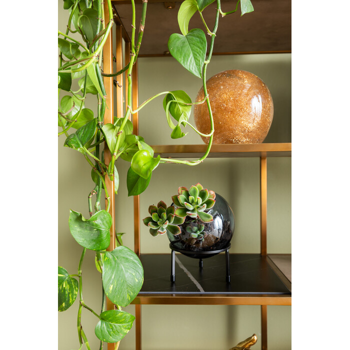 [85861] Etagère Cesaro 90x170cm - 2