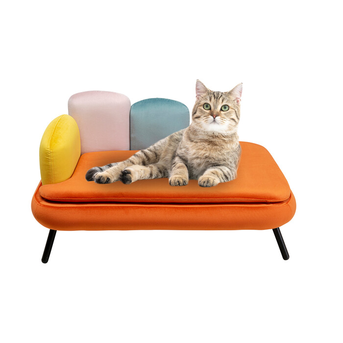 Dog/Cat Bed Diva Orange