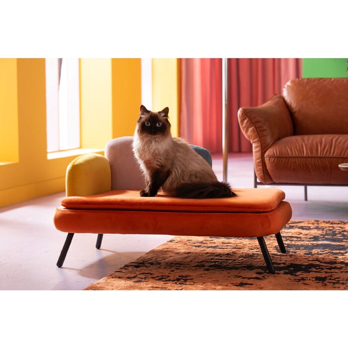 Dog/Cat Bed Diva Orange