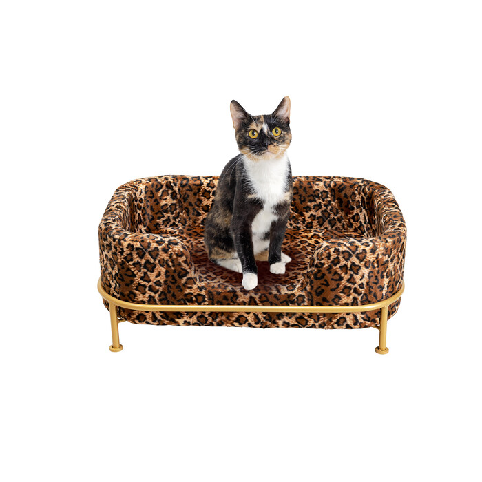 [86373] Katil Anjing Diva Leo
