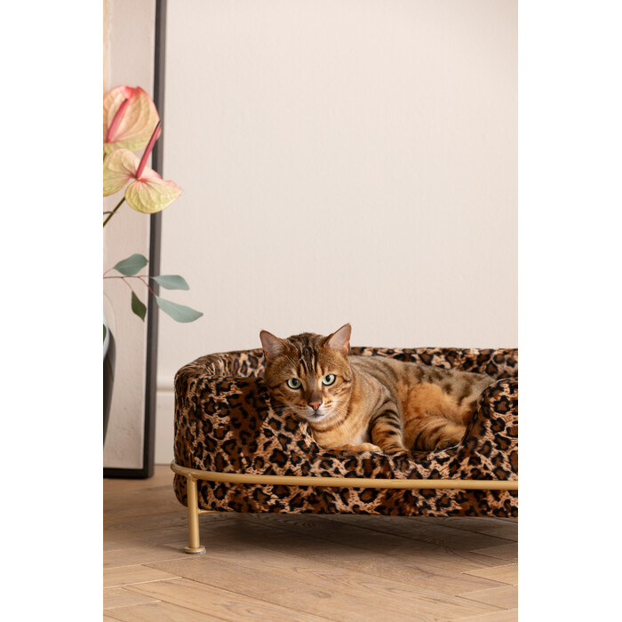 [86373] Katil Anjing Diva Leo - 2